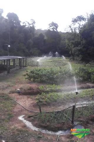 Sítio de 8,47 hectares, com água a 5 km de São Carlos-SP