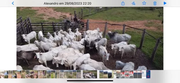 FAZENDA EM IGARATA - SP