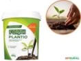 Fertilizante Adubo Forth Para Plantio Pote 400g Enraizamento