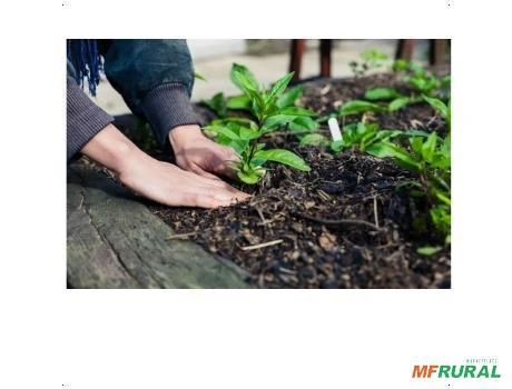 Adubo Fertilizante Orgânico Forth Jardim 500ml Concentrado