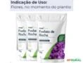 Adubo Maxgreen Fosfato de Rocha Fertilizante Mineral Simples