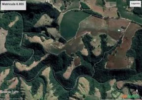 Fazenda de 88 hectares (36 alqueires), em Wenceslau Brás / Paraná