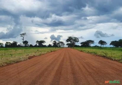 Fazenda em Goiás