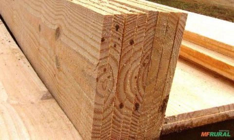 Madeiras de Pinus Imagem Madeiras de Pinus