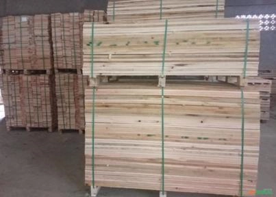 Eucalipto pré cortado Imagem Eucalipto pré cortado