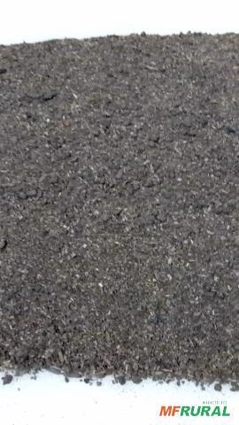 Substrato Imagem Substrato