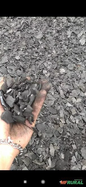 Carvão de côco