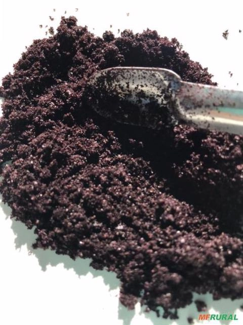 Imagem Açai pó Imagem Açai pó