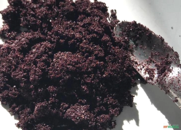 Açai pó Imagem Açai pó