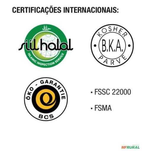 Imagem Açai pó Imagem Açai pó