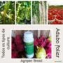 Fertilizante Max Complet Adubo liquido foliar NPK 20-10-10