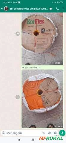 Mangueira rr Imagem Mangueira rr