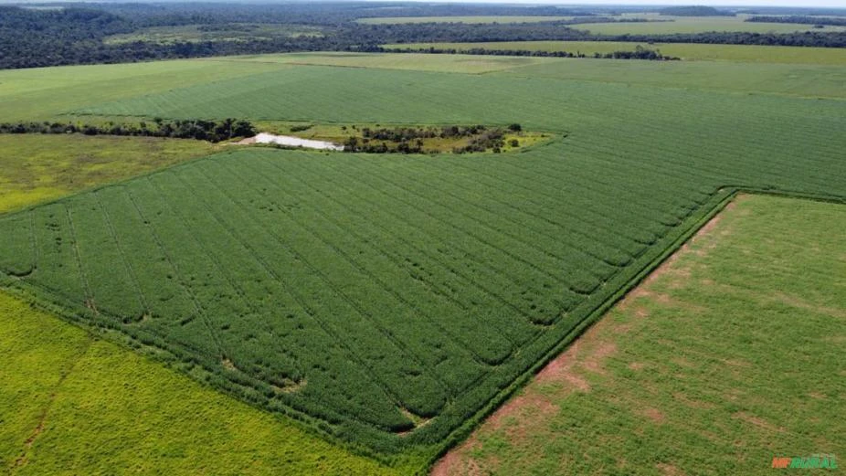 Fazenda Soja no Mato Grosso