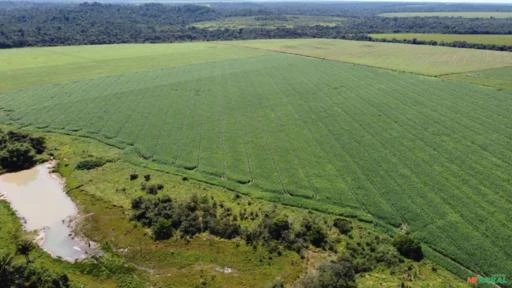 Fazenda Soja no Mato Grosso