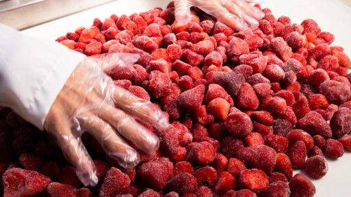 Morango congelado Imagem Morango congelado