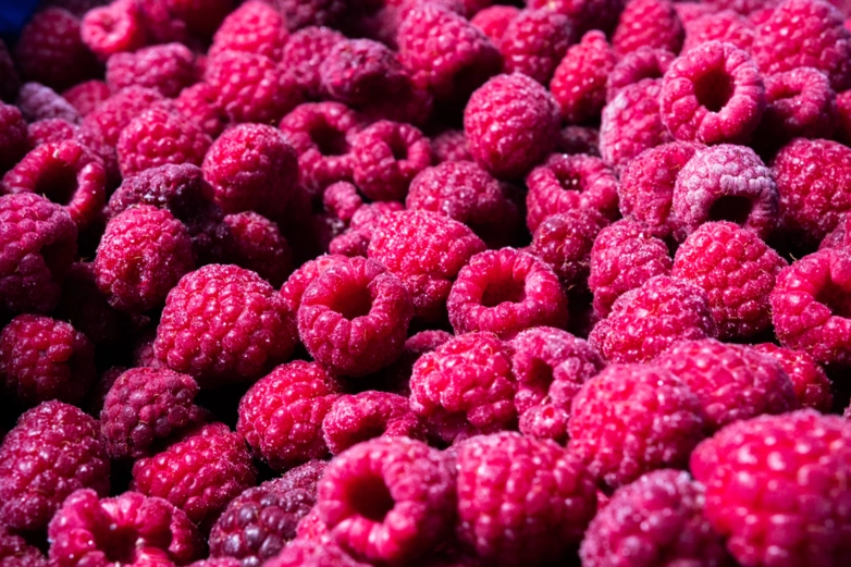 Framboesa Congelada Imagem Framboesa Congelada