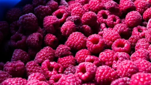 Imagem Framboesa Congelada Imagem Framboesa Congelada