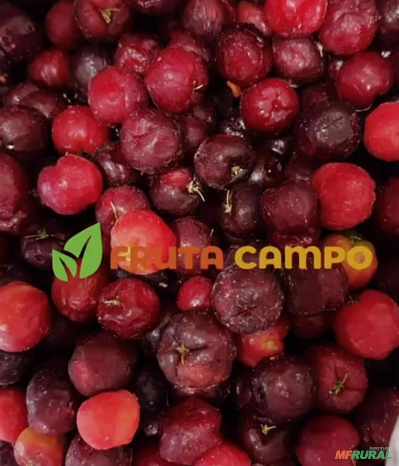 Acerola congelada Imagem Acerola congelada
