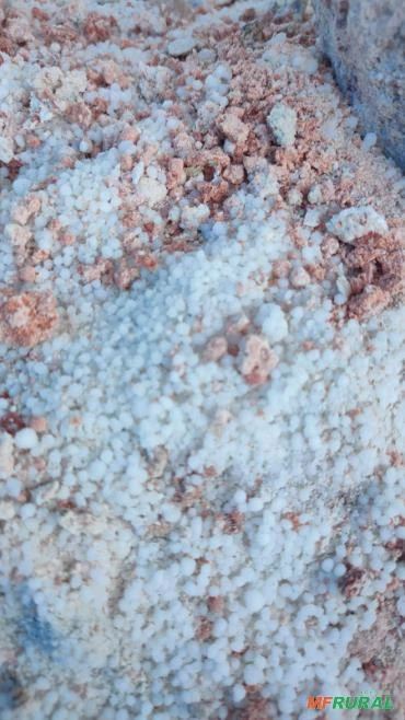 Varredura NPK com 0% de calcário sem enchimento