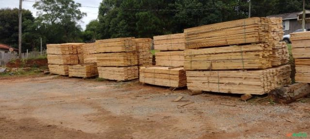 MADEIRA DE PINUS Imagem MADEIRA DE PINUS