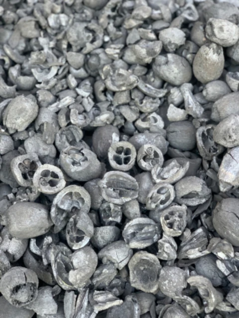 Carvão de coco babaçu