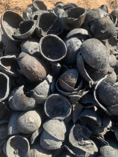 Carvão de coco babaçu