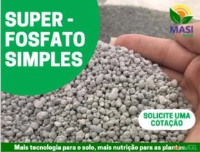 Superfosfato Simples (SSP)
