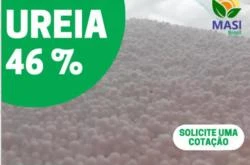 Ureia 46%