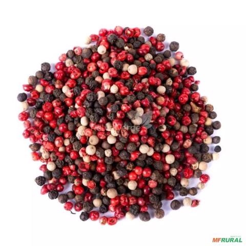 Mix de Pimenta do Reino Imagem Mix de Pimenta do Reino