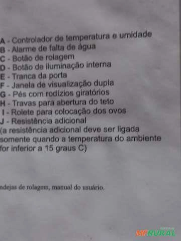 Imagem Vendo chocadeira Luna Imagem Vendo chocadeira Luna