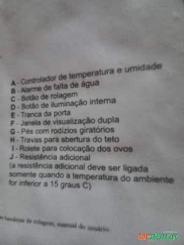 Imagem Vendo chocadeira Luna Imagem Vendo chocadeira Luna