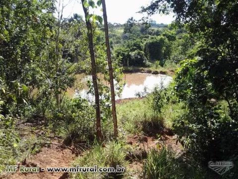 FAZENDA 5 ALQUEIRES BR 497 Á 30 KM UBERLÂNDIA PRATA