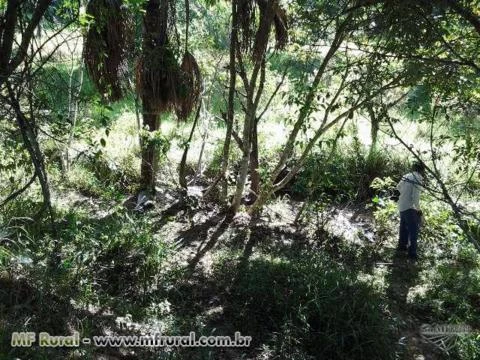 FAZENDA 5 ALQUEIRES BR 497 Á 30 KM UBERLÂNDIA PRATA