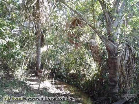 FAZENDA 5 ALQUEIRES BR 497 Á 30 KM UBERLÂNDIA PRATA