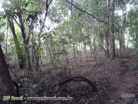 FAZENDA 5 ALQUEIRES BR 497 Á 30 KM UBERLÂNDIA PRATA