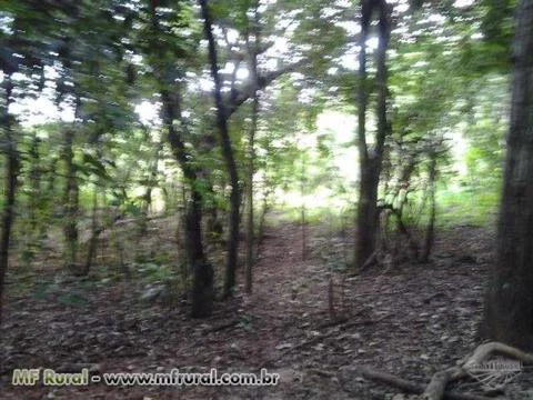 FAZENDA 5 ALQUEIRES BR 497 Á 30 KM UBERLÂNDIA PRATA