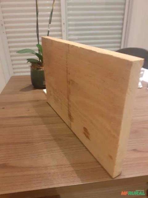 Madeira de Pinus para exportação Imagem Madeira de Pinus para exportação