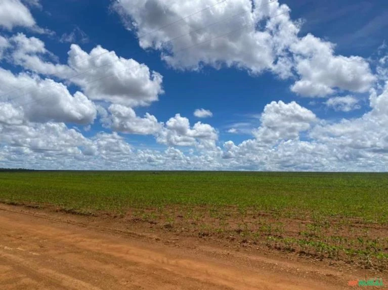 Fazenda com 2.000 hectares de soja em Cristalina estado de Goiás