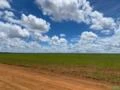 Fazenda com 2.000 hectares de soja em Cristalina estado de Goiás