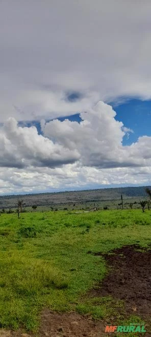 Fazenda em aripuanã-MT