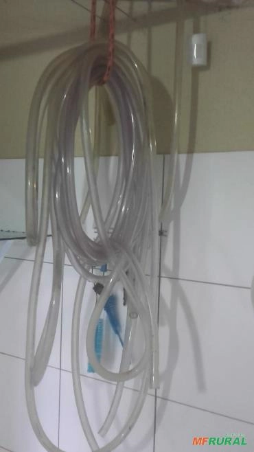 Imagem Ordenha Mecânica Delaval 2 conjuntos Imagem Ordenha Mecânica Delaval 2 conjuntos