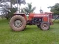 Trator Massey Ferguson 265 4x2 ano 80 Imagem Trator Massey Ferguson 265 4x2 ano 80