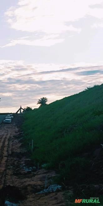 Hidrossemeadura Grama líquida Imagem Hidrossemeadura Grama líquida