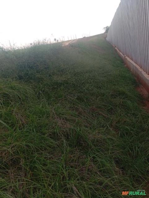 Imagem Hidrossemeadura Grama líquida Imagem Hidrossemeadura Grama líquida