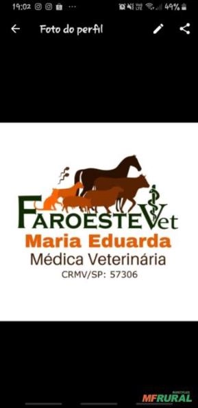 Médica Veterinária de animais de produção Médica Veterinária de animais de produção