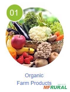 Quer comprar açúcar orgânico, mais ou menos 40 toneladas em primeira vez. Imagem Quer comprar açúcar orgânico, mais ou menos 40 toneladas em primeira vez.