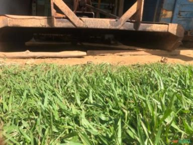 Imagem Vendo roçadeira Imagem Vendo roçadeira