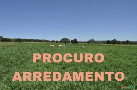 BUSCO arrendamento propriedade - Gado de Corte Imagem BUSCO arrendamento propriedade - Gado de Corte
