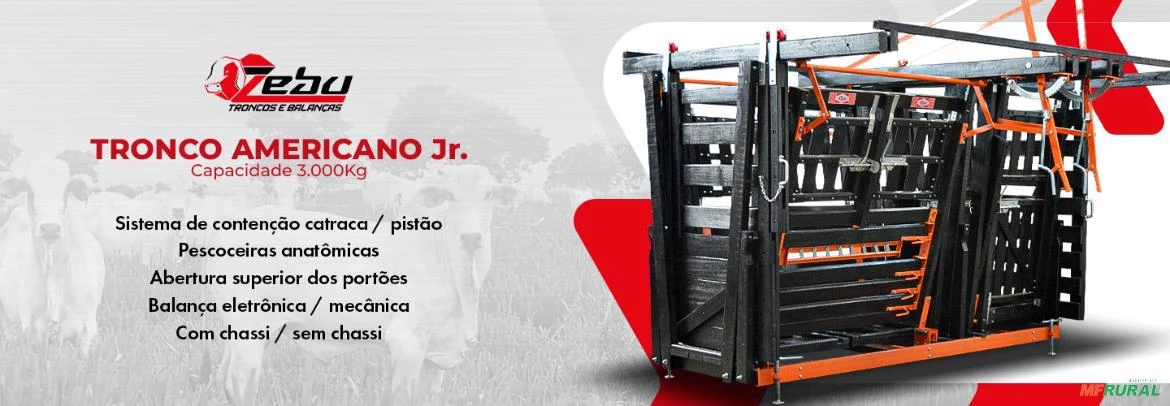 Tronco de contenção  Americano Jr.