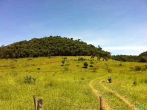 Excelente Chácara em local privilegiado, em meio à natureza, boa vizinhança, e acesso fácil.